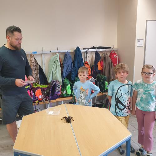 Kinder schauen eine Vogelspinne an