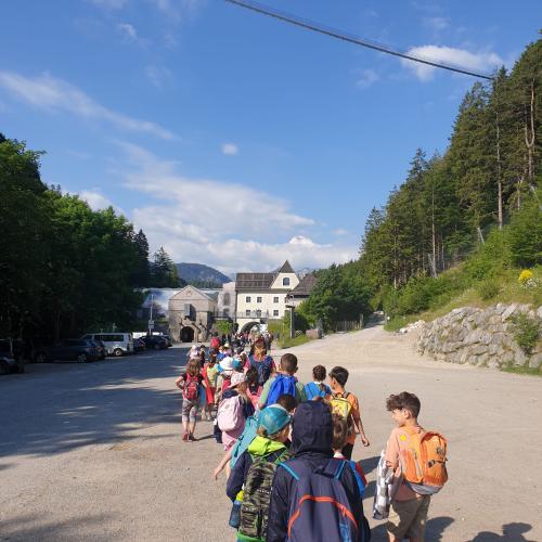Kinder wandern 