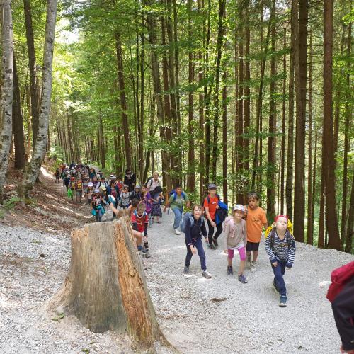 Kinder wandern zur Burg durch den Wald