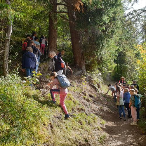 Kinder auf Wanderweg
