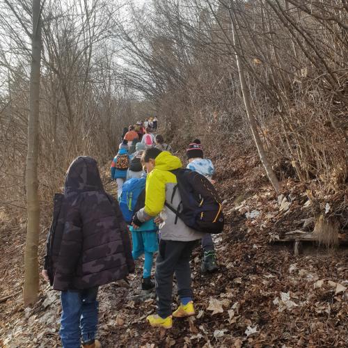 Kinder auf Waldweg bergauf