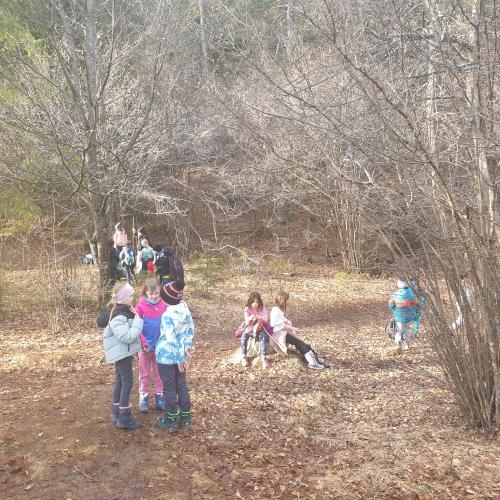 Kinder rasten auf Waldlichtung