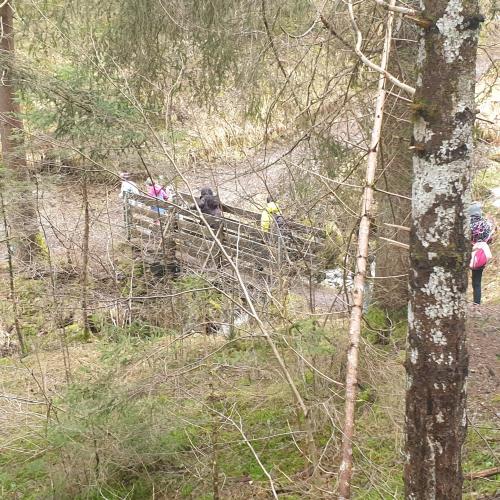 Kinder gehen über Brücke im Wald