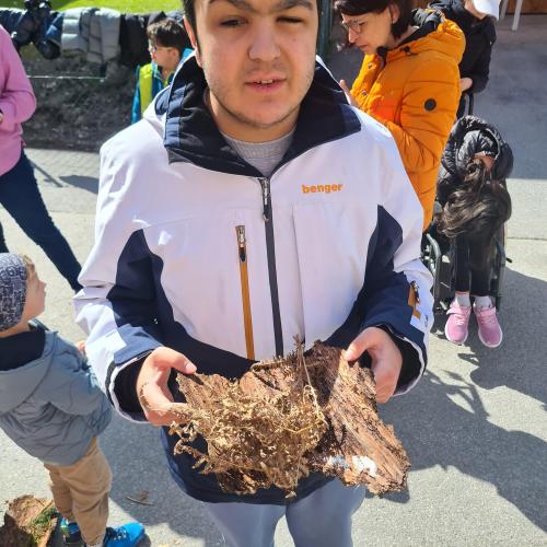 Schüler mit Naturmaterial
