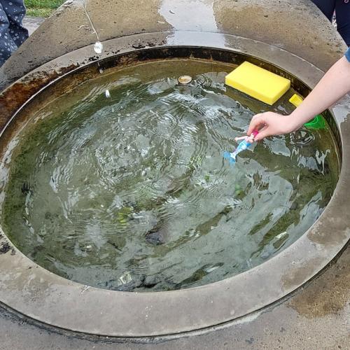 Brunnenexperiment - schwimmt oder sinkt?