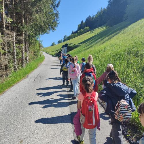 Schule am Bauernhof 