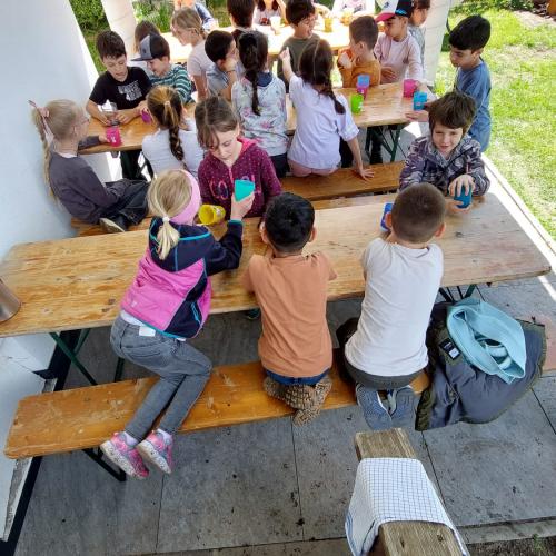 Schule am Bauernhof 