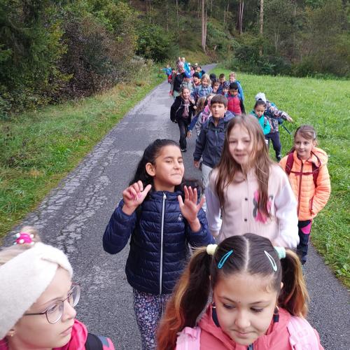 Kinder wandern auf einem Schotterweg