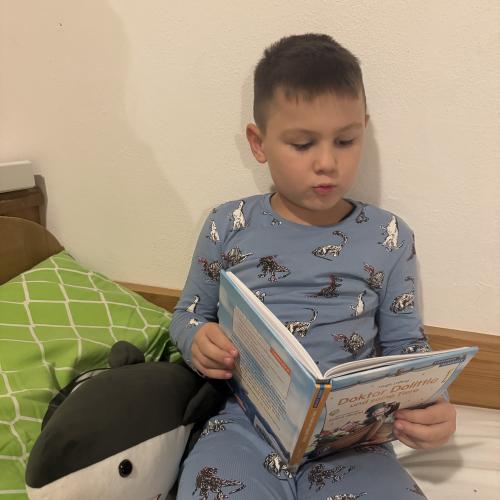 Bub liest vor dem Einschlafen seinem Stoffhai ein Buch vor