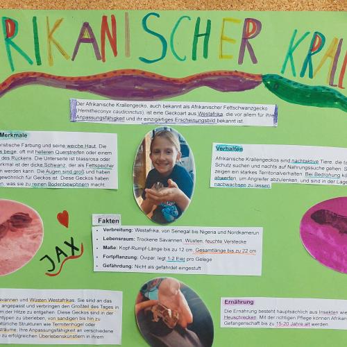 Plakat Afrikanischer Krallengecko