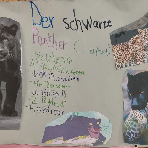 Plakat Schwarzer Panther