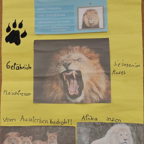 Plakat Löwe