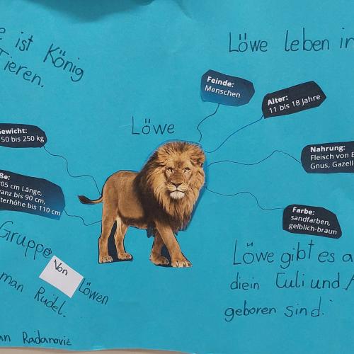 Plakat Löwe