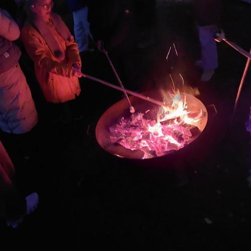 Kinder braten marshmellows