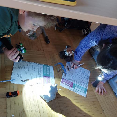 2 Kinder experimentieren mit einer Taschenlampe