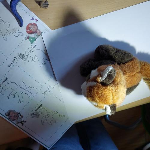 Stofftier wird von Taschenlampe angestrahlt