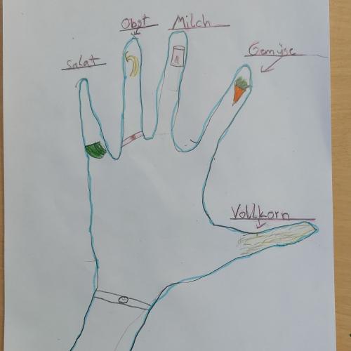 gezeichnete Hand mit Lebensmitteln