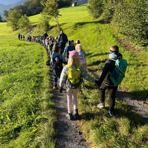 Kindergruppe wandert zwischen grünen Feldern