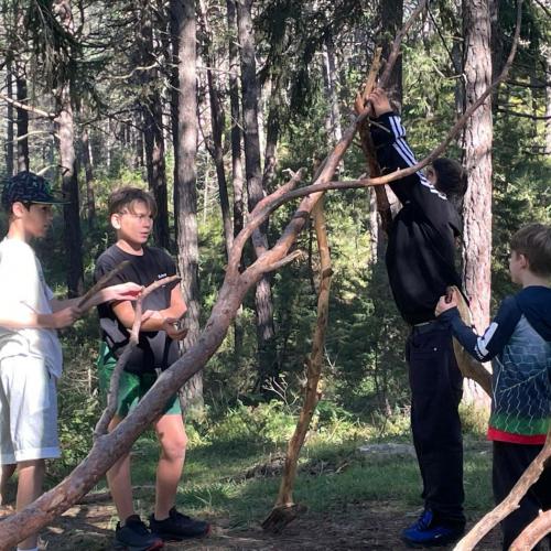 Buben bauen Tipi aus Ästen