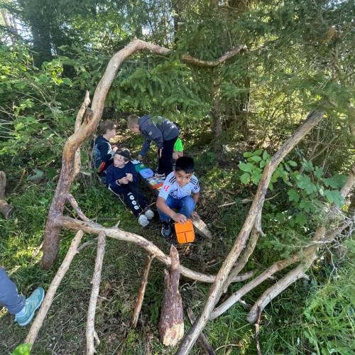 selbst gebaute Höhle aus Ästen