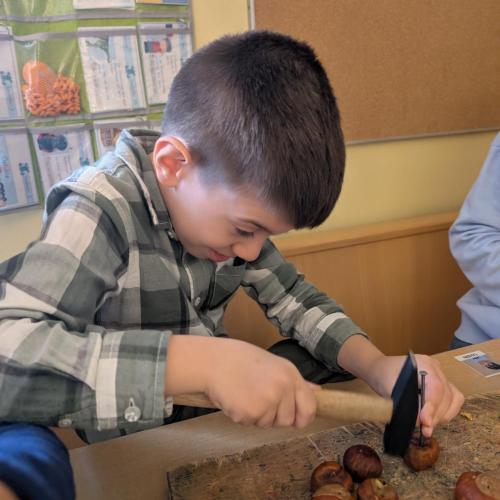 Loch in Kastanie hämmern 