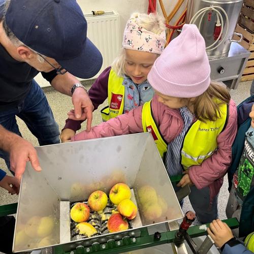 Äpfel in der Presse