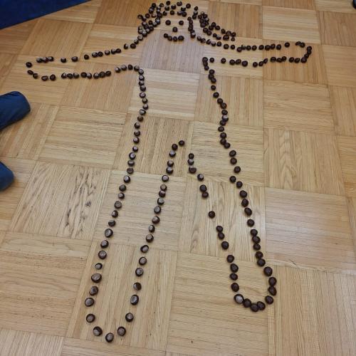 Körperumriss aus Kastanien