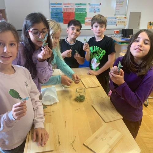 Kinder halten Salbei und Thymian in der Hand