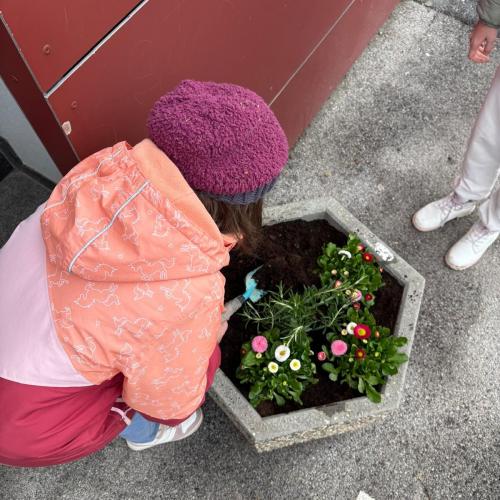 Mädchen beim Einsetzen