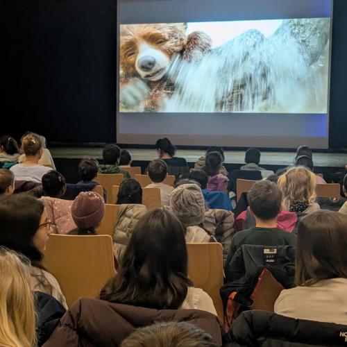 Schùler schauen Film an