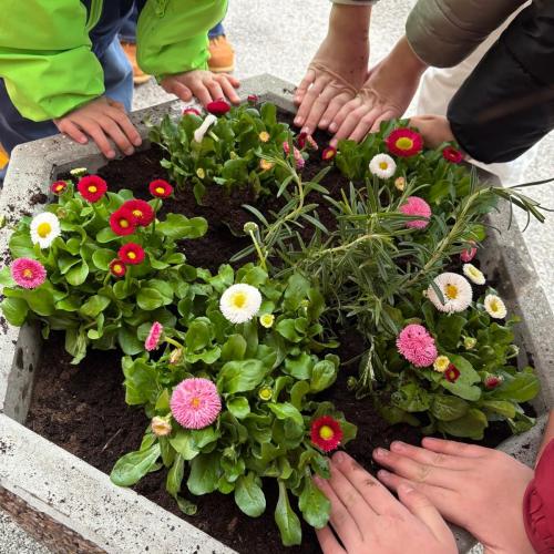 fertig bepflanzter Blumentrog mit den fleißigen Händen