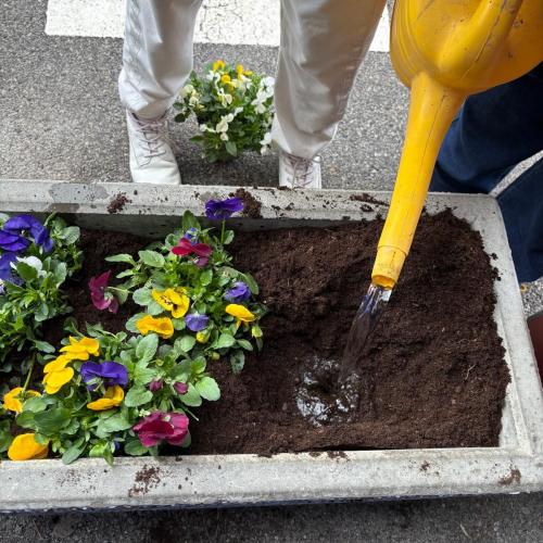 zwischendurch immer wieder gießen
