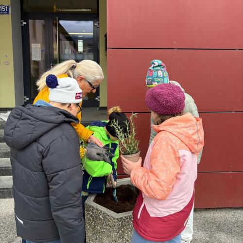 Kinder und Lehrerin bereiten den Blumentrog zum Einpflanzen vor