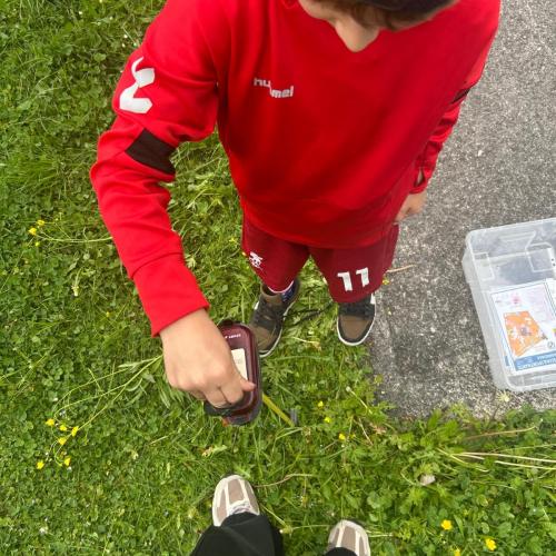 Kind von oben