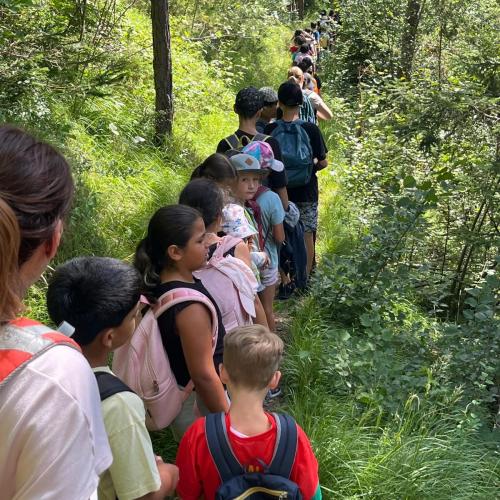 im Gänsemarsch durch den Wald