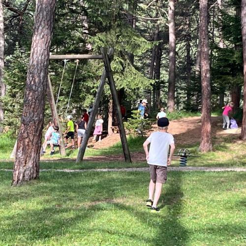 Kinder spielen auf dem Spielplatz und im Wald
