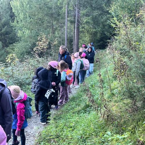 im Gänsemarsch durch den Wald