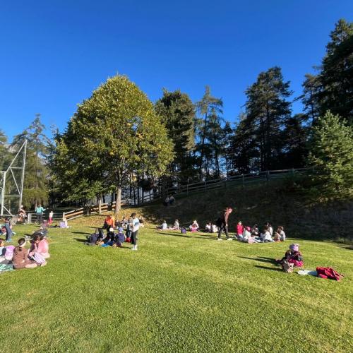 Rast auf dem Fußballplatz