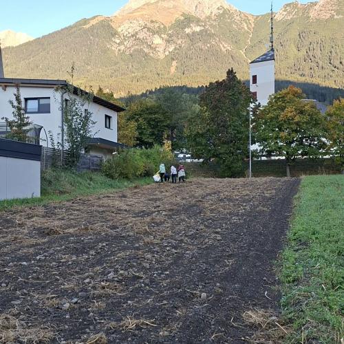 alle auf dem Feld