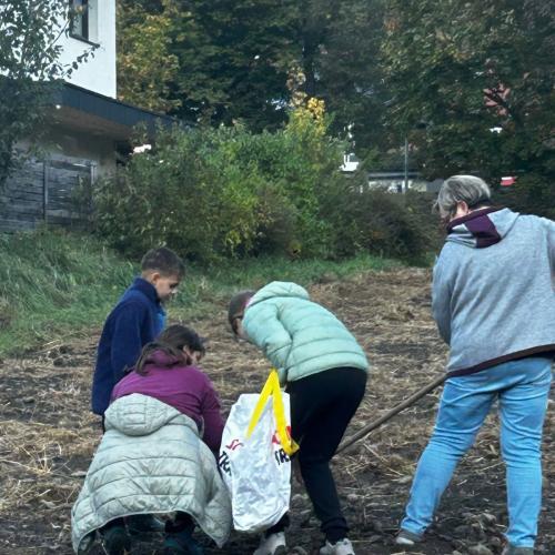 Arbeit auf dem Kartoffelacker