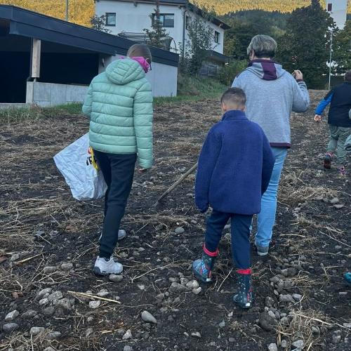 Kinder gehen mit ihrer Lehrerin über den Kartoffelacker