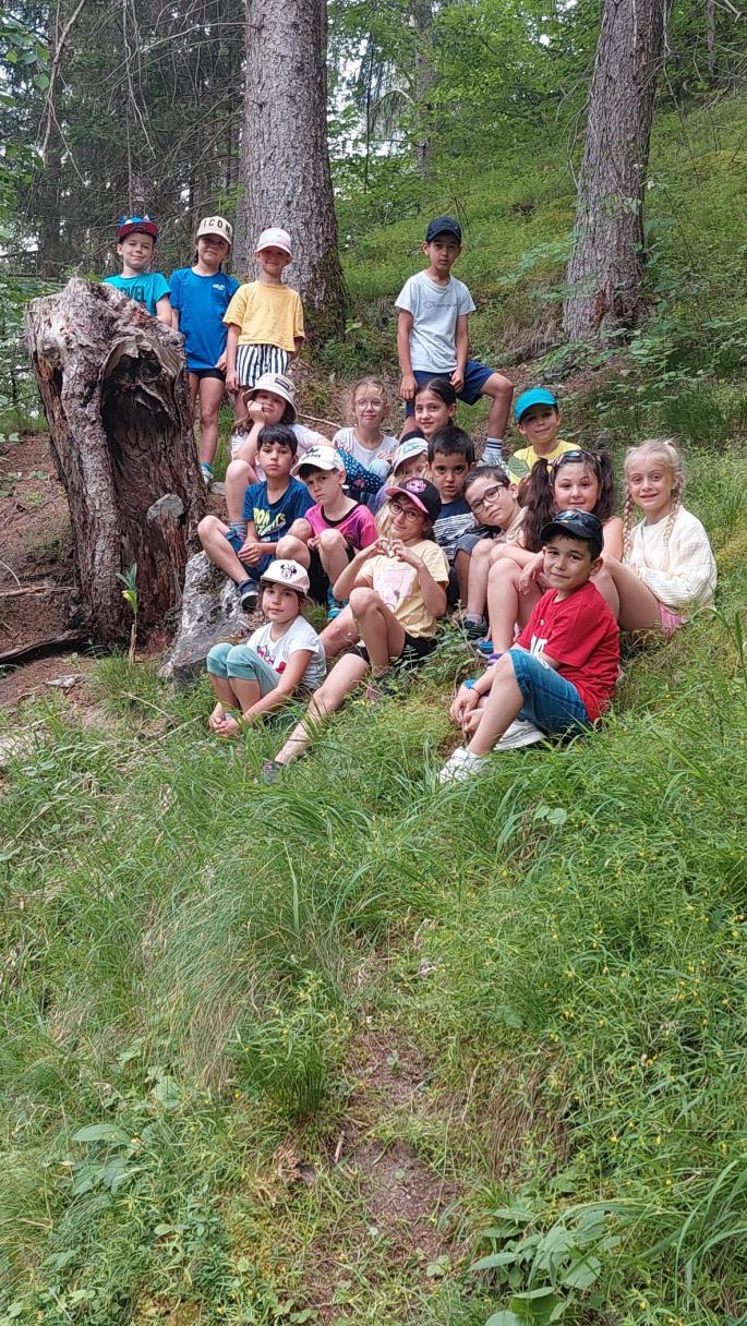 Kinder sitzen neben einem ausgehöhlten Baumstumpf im Wald