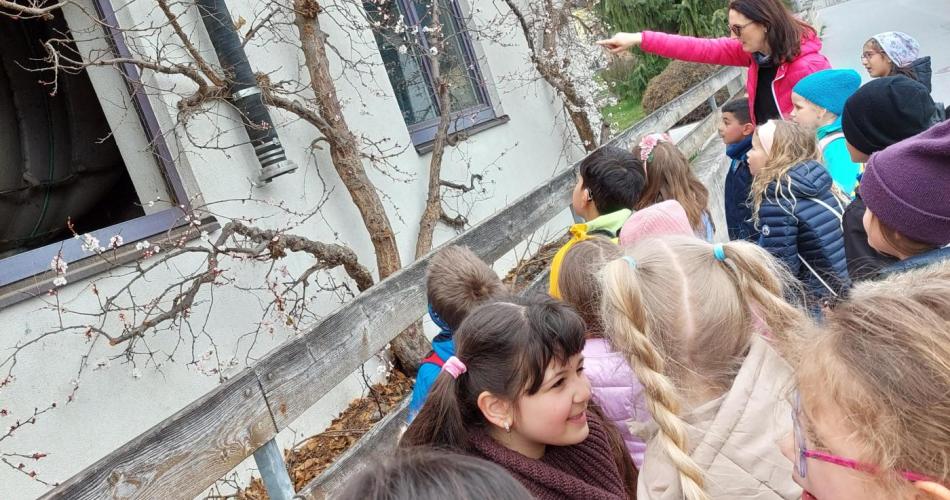 Schüler*innen stehen vor einem blühenden Kirschbaum