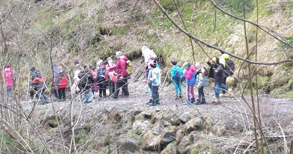 Kinder auf Waldweg