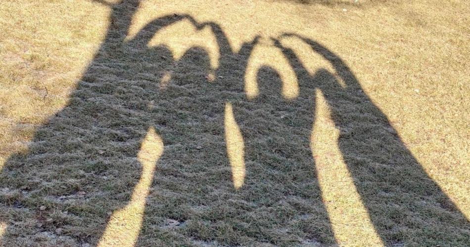 Schatten von 4 Lehrpersonen
