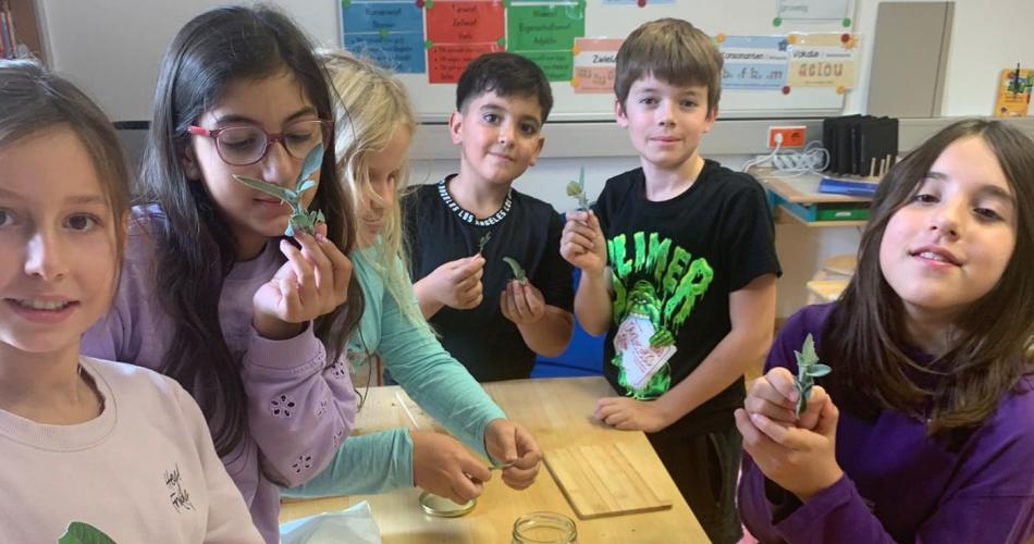 Kinder halten Salbei und Thymian in der Hand