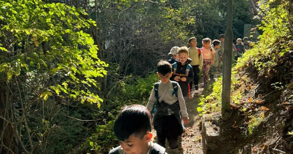 Kinder wandern durch den Wald