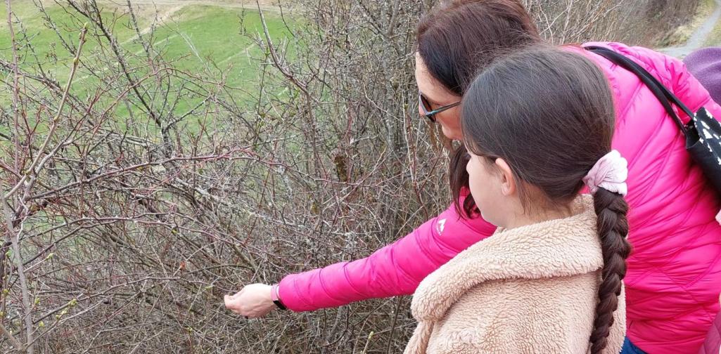 Lehrerin + Schülerin suchen Knospen auf einem Strauch